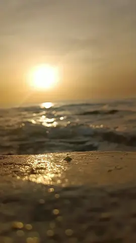 #المهاجر🦅🦅 