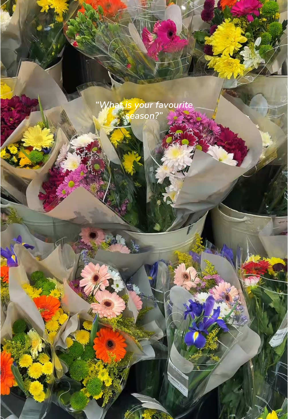 Spring is my favourite season 🥹💖 so colourful and blossoming! So lucky my birthday falls during spring too 🌸 #spring #springvibes #flowers #pinterestaesthetic #softgirl #aesthetic #pinkaesthetic #springaesthetic 