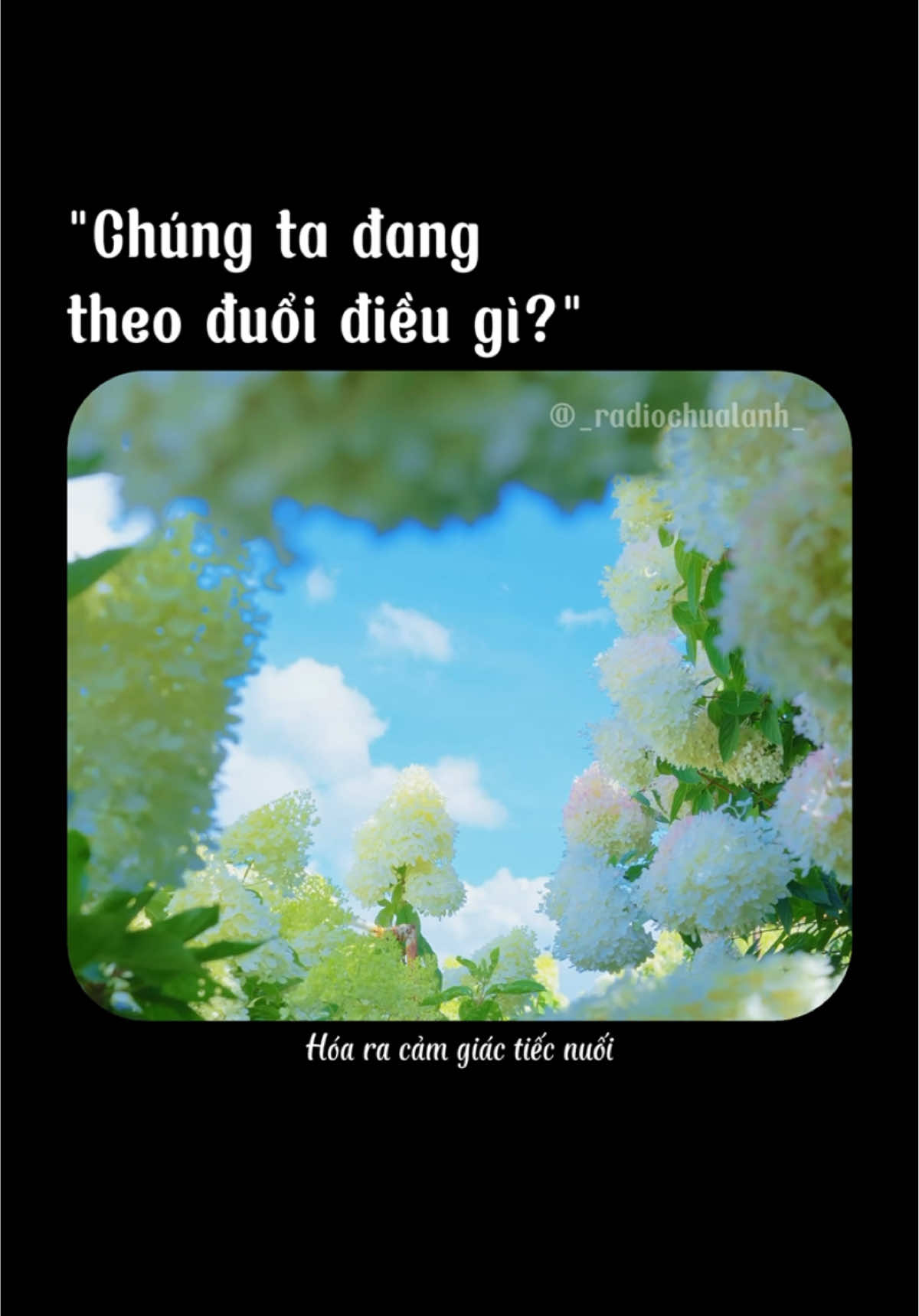 Cả đời chúng ta đang theo đuổi điều gì?