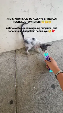 di mauubusan sa bag ng cat treats 🥺 #cat #pet #treats 