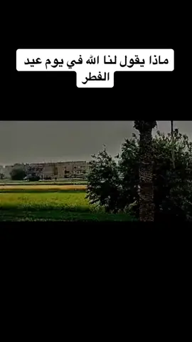 #مقتطفات#الشيخ_كشك_رحمه_الله