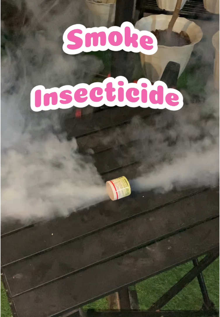 Effective pamuksa ng lamok, ipis at mga peste sa paligid 