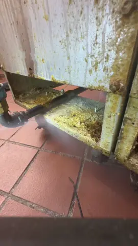 Dry ice blasting restaurant equipment.  #CleanTok #clean #cleaning #cleaningtiktok #dryice #dryiceblasting #dryicecleaning #restaurant #chefsoftiktok #chefs #professionalcleaning #kitchencleaning #oddlysatisfying #satisfying #sweatystartup #SmallBusiness #detailing #buisness #SmallBusiness #startup #coldjet 