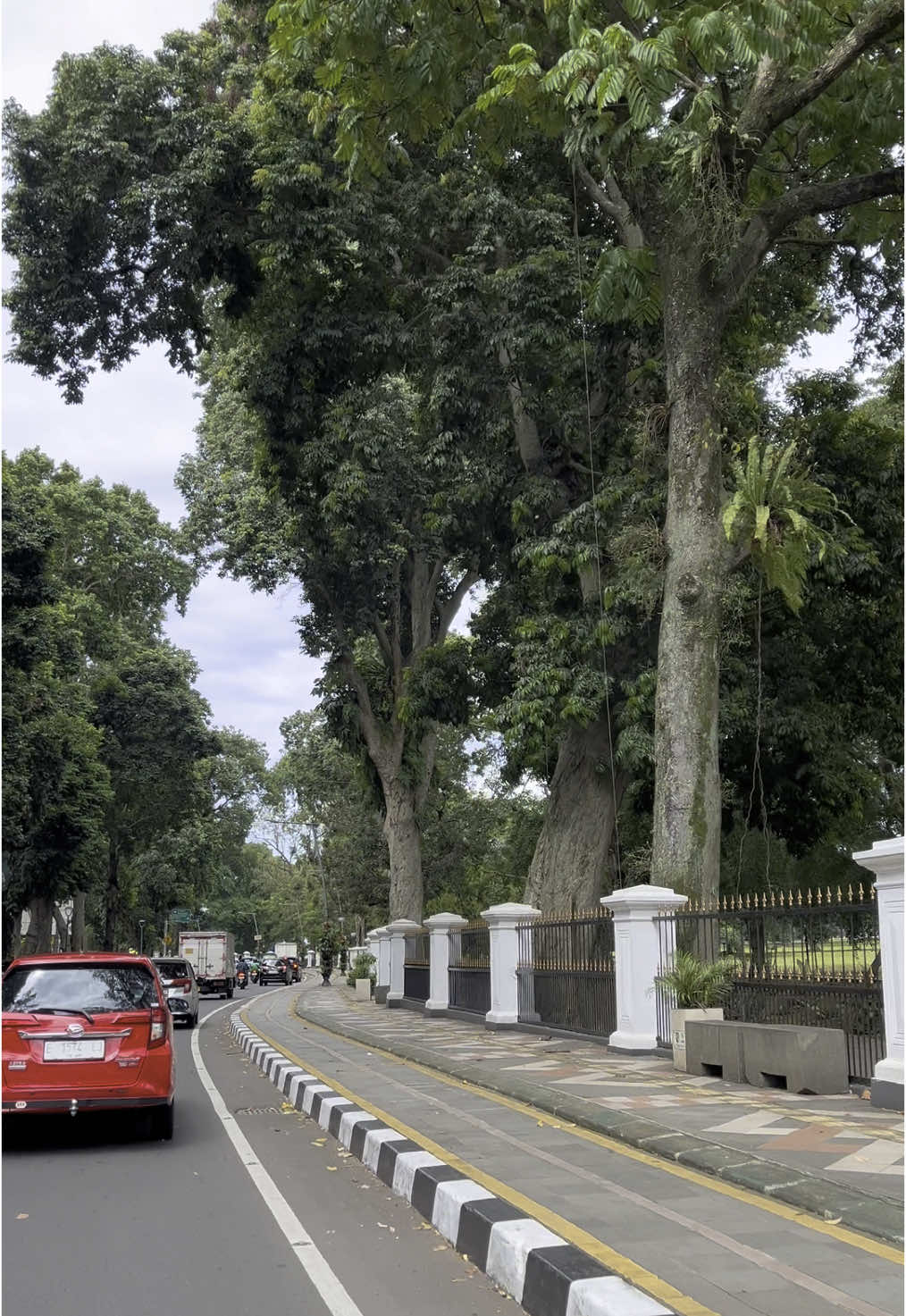 punya kenangan apa di bogor? #fyp #fyppppppppppppppppppppppp #fypage #doyanjalan_banyakinkenangan #kenangandibogor #tentangjalanjalan #vibesbogor #kotahujan #tugukujangbogor #lawangsalapan #kebunrayabogor #istanabogor #bogor #jawabarat 