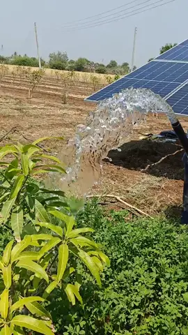 #creatorsearchinsights  #water  #Technology  #Solar  #pump  #ethiopian_tik_tok🇪🇹🇪🇹🇪🇹🇪🇹 