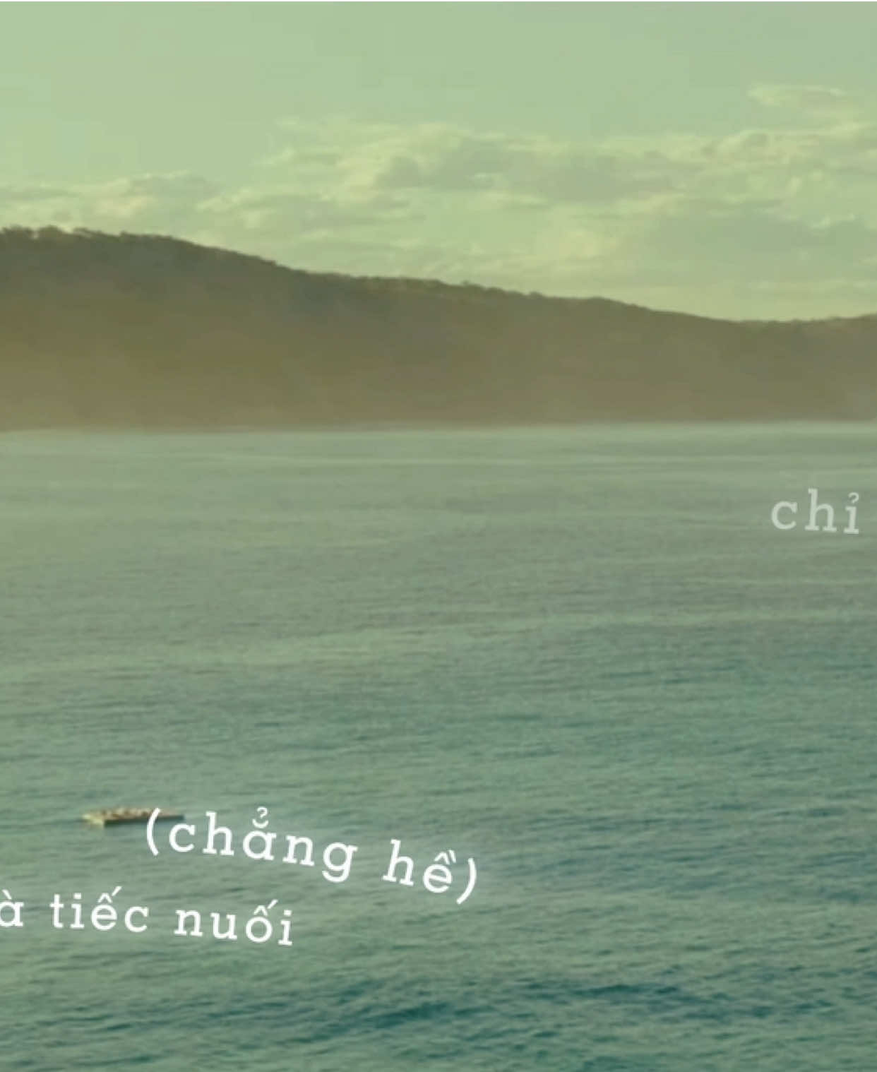 chẳng phải lòng tiếc nuối, chỉ là đôi lúc lòng ngỡ ngàng rằng người từng ở đây 🫧 (heart)