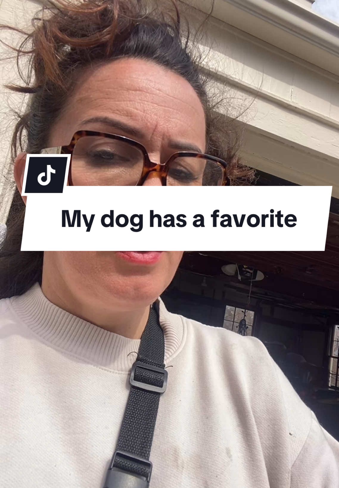 Zero doubt that I’m not her favorite human.  #dog #dogs #dogsoftiktok #funnydog #rescuedog 