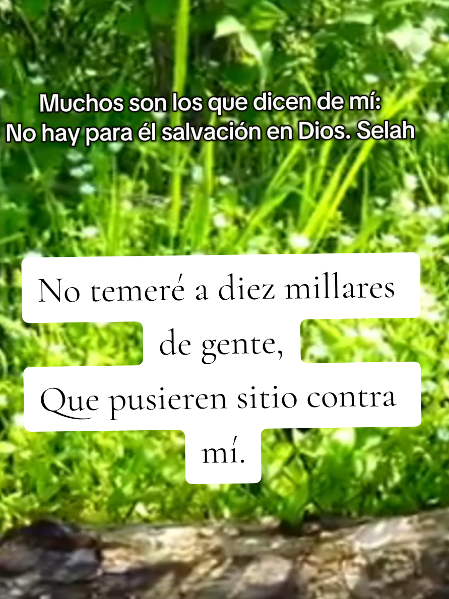 Muchos son los que dicen de mí No hay para él salvación en Dios Selah #cristianosevangelicos #diosteama #reflexionesdelavida #bibliasagrada #jesuscristosalvador #salmosbiblicos #jovenescristianos #lavida 