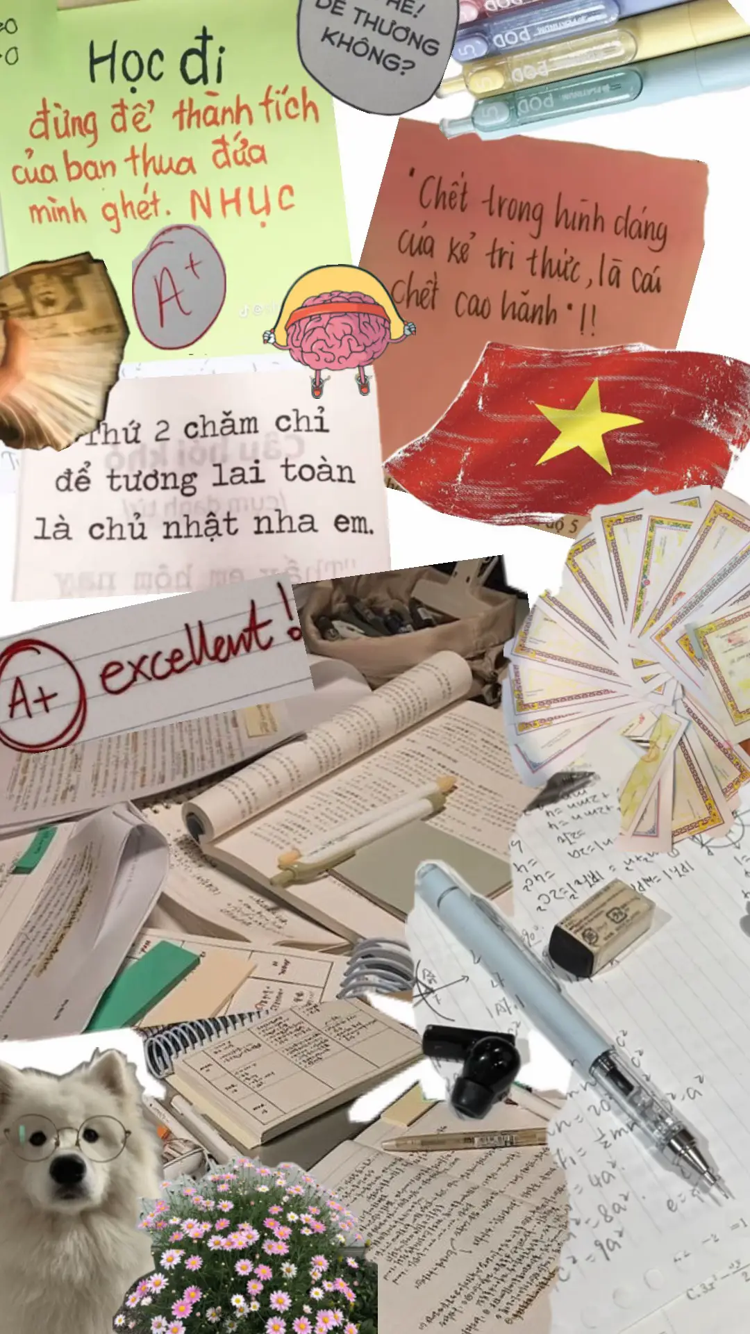 Học đi em Đừng do dự Bỏ lỡ tương lai mất ... #xh #motivation #student #study #studytok #foryou #fyp #hoctap📚 #dongluc #tichcuc #hocsinh #thihocki #dungdodu #viral #viruss 