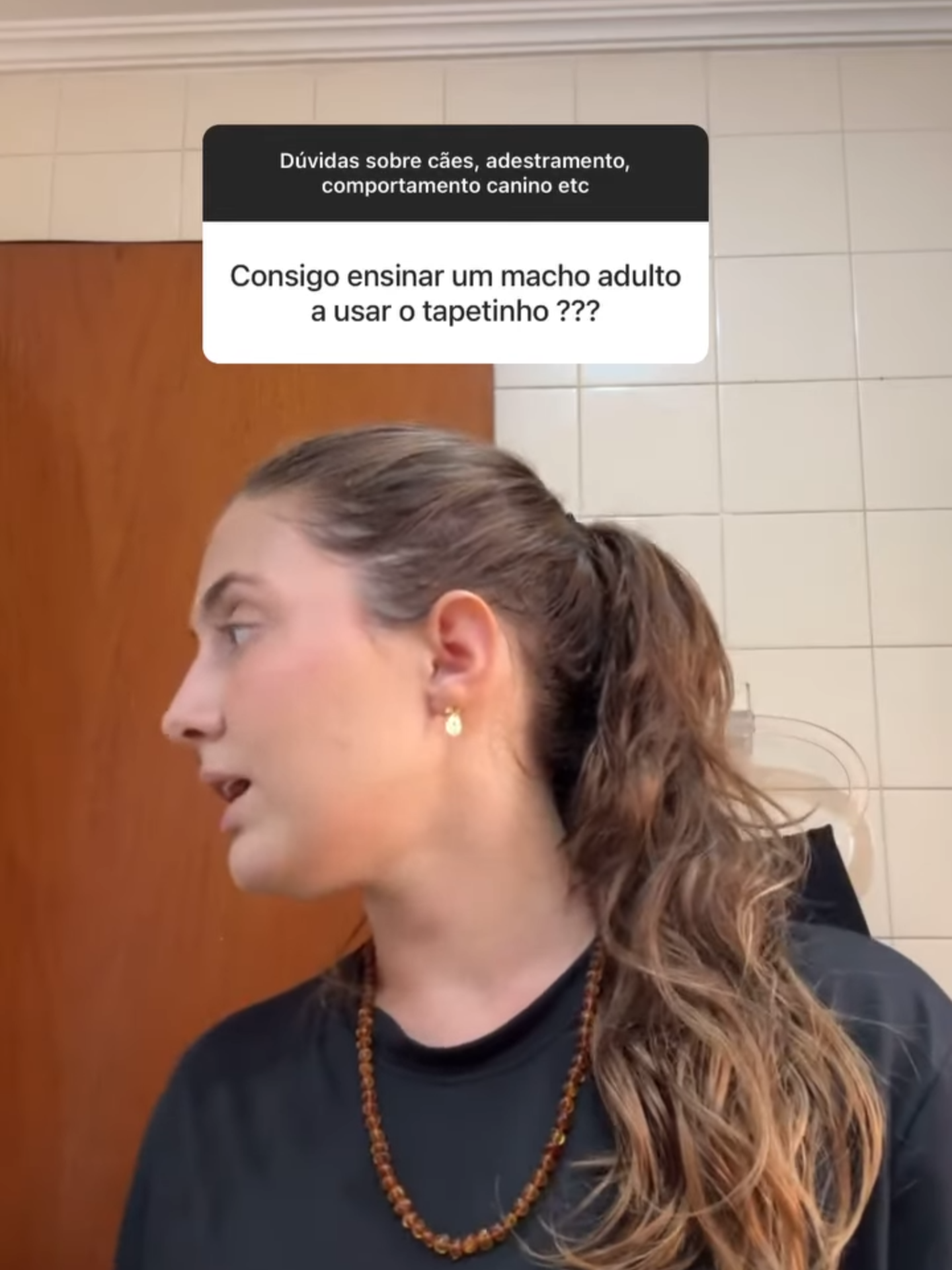 Dá pra ensinar um cão adulto a fazer xixi no lugar certo? #adestramento #chagasadestramento #foryoupage