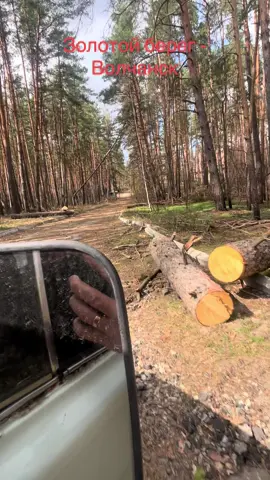 #золотойберег #дорога #первыйснег #старыйсалтов #графское #волчанск #волчанск #война #волчанскукраина #рубежное #дача #украина🇺🇦 #тренд #лес #каб #детство 