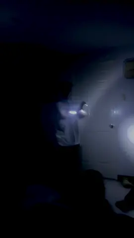 Scream Saver 🤩 #gvlights #gvlang #gvfam #fyp