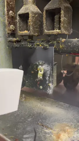 Dry ice blasting restaurant equipment.  #CleanTok #clean #cleaning #cleaningtiktok #dryice #dryiceblasting #dryicecleaning #restaurant #chefsoftiktok #chefs #professionalcleaning #kitchencleaning #oddlysatisfying #satisfying #sweatystartup #SmallBusiness #detailing #buisness #SmallBusiness #startup #coldjet 