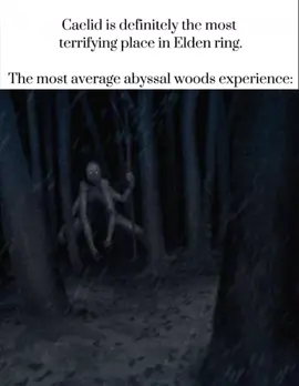 #eldenring #eldenringshadowoftheerdtree #sekiroshadowdietwice #bloodborneoldhunters #bloodborne #gaming #darksouls #darksouls2 #darksouls3 #soulsborne #fromsoftware #miyazaki #eldenringnightreign #abyssalwoods 