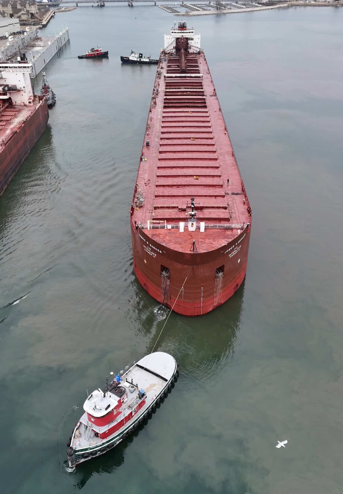 Tugboats were hard at work in Sturgeon Bay yesterday, maneuvering the Stewart J. Cort and Burns Harbor out of winter layup. With both 1000-footers now underway, the 2025 Great Lakes shipping season is officially in motion. #SturgeonBay #GreatLakesShipping #ShipWatching #MarineTraffic #Tugboats #Lakers #SpringLayup #ShippingSeason #StewartJCort #BurnsHarbor #doorcounty #wisconsin #wisco