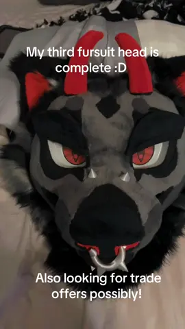 Looking for possible trade offers or money‼️ current offer of 3k He’s a mini partial,No character rights 🚫No Dino’s, skulls, lq suits, SERIOUS OFFERS ONLY 🚫 #furry #furrys #anthro #fursuit #fursona #fursuitforsale #fyp #furryfandom #furrycommunity #fursuiter #fursuitmaker #art #cosplay #foryoupage #furrytiktok #furrytrash #furrysoftiktok #furrypride 