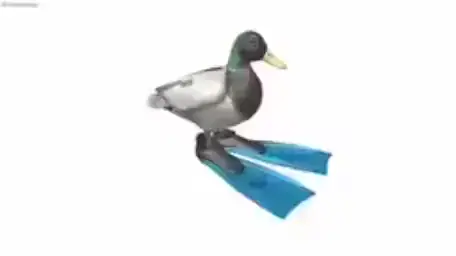 pato girando 1 hora #parati #Viral #aaaaaaaaaaaaaaaaaaaaaaaaaaaaaa #tiktokviral #CapCut #tsbodrio #empanadas 