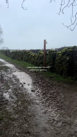 'bad' weather is actually good weather. #nature #poetry #deep #deepthoughts #moodyweather #gloomy #rain #darkacademiaaesthetic #remuslupin #harrypotter #TimBurton #twilight #thoughtdaughter #weirdgirlsoftiktok #fyp #autumnxrbbsp 