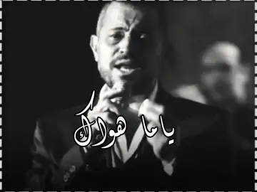الوسوف لما حب قال ☝️💚 #wassouf #طرب #أبووديع 