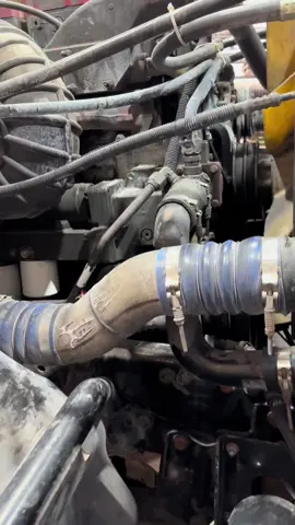 Cambio de aceite motor Cummins.#motor diesel#trailer #trailero #camionero #mecanicodiesel #mecanico 