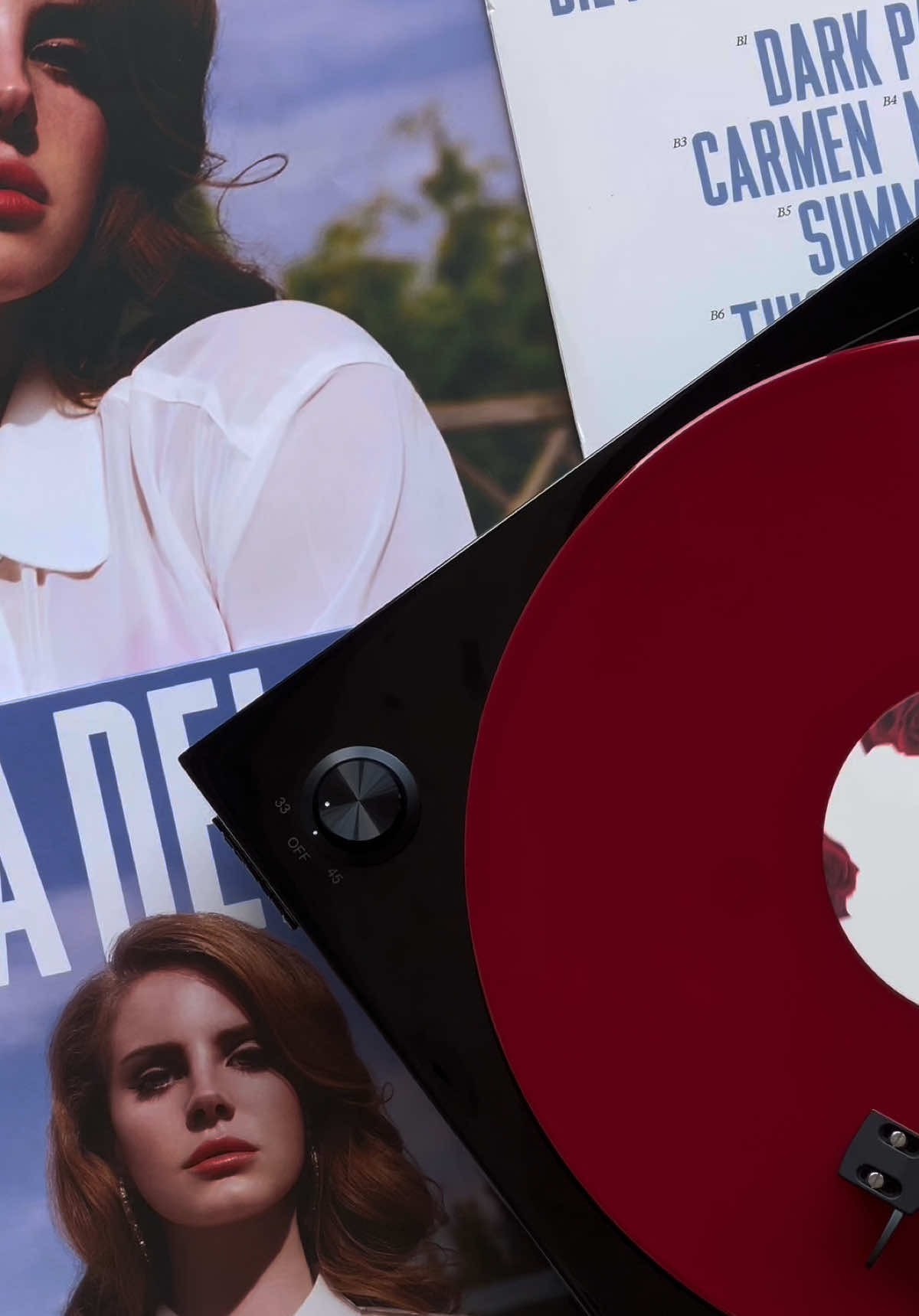 Lana Del Rey ‘Born To Die’ Vinyl  When I heard this album back in 2012 for the first time my life was never the same.  #LanaDelRey #BornToDie #vinyl #vinylcollection #vinylcheck #vinylcollector #vinylrecords #vinylwraps #records #pop #fyp #foryou #trending @Lana Del Rey 