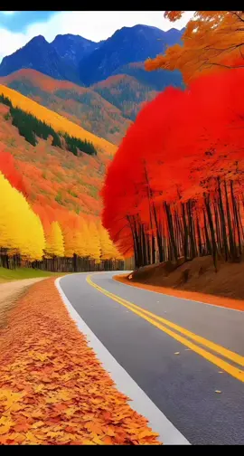 #buenosdias 🙌🏽🌺🌍♥️🌞☕️🌅🧡#30demarzo #2025 #felizdomingo #paratodos #Domingo #bendiciones🌹❤️🙌🏻🙌🏻🙏 #fyp #paratiiiiiiiiiiiiiiiiiiiiiiiiiiiiiii #fyp