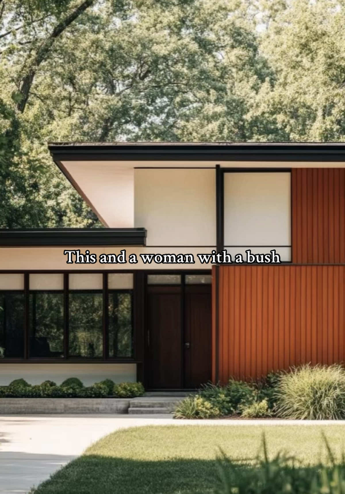 Shag carpet, but in the pants 😮‍💨 #bushtok #bush #buuuush #interiordesign #1970s #70s 