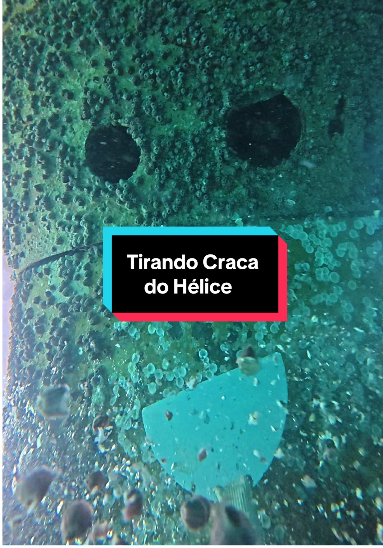 Tirando Craca do Hélice #workhard #trabalho #dive #mergulho #buceo #ship #navio #propeller #maritime #sea 