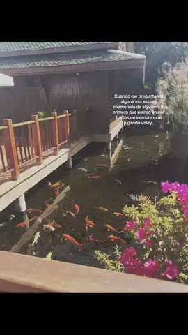 #zyxbca #fypシ゚ #paratiii 