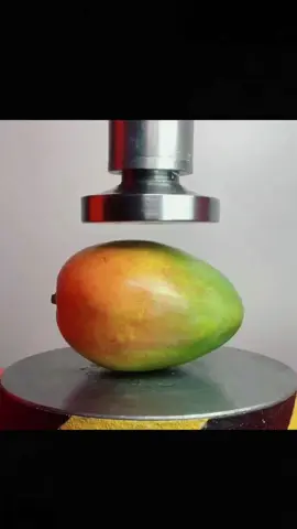 hydraulic press vs mango....what will be the result...let me see #hydraulicpress #satisfyingvideo #🇺🇸 #asmr #donaltrump #asmrtiktoks #newyork #newyorkcity #fypシ゚viral #losangeles #california #usa🇺🇸 #2025 #mangos 