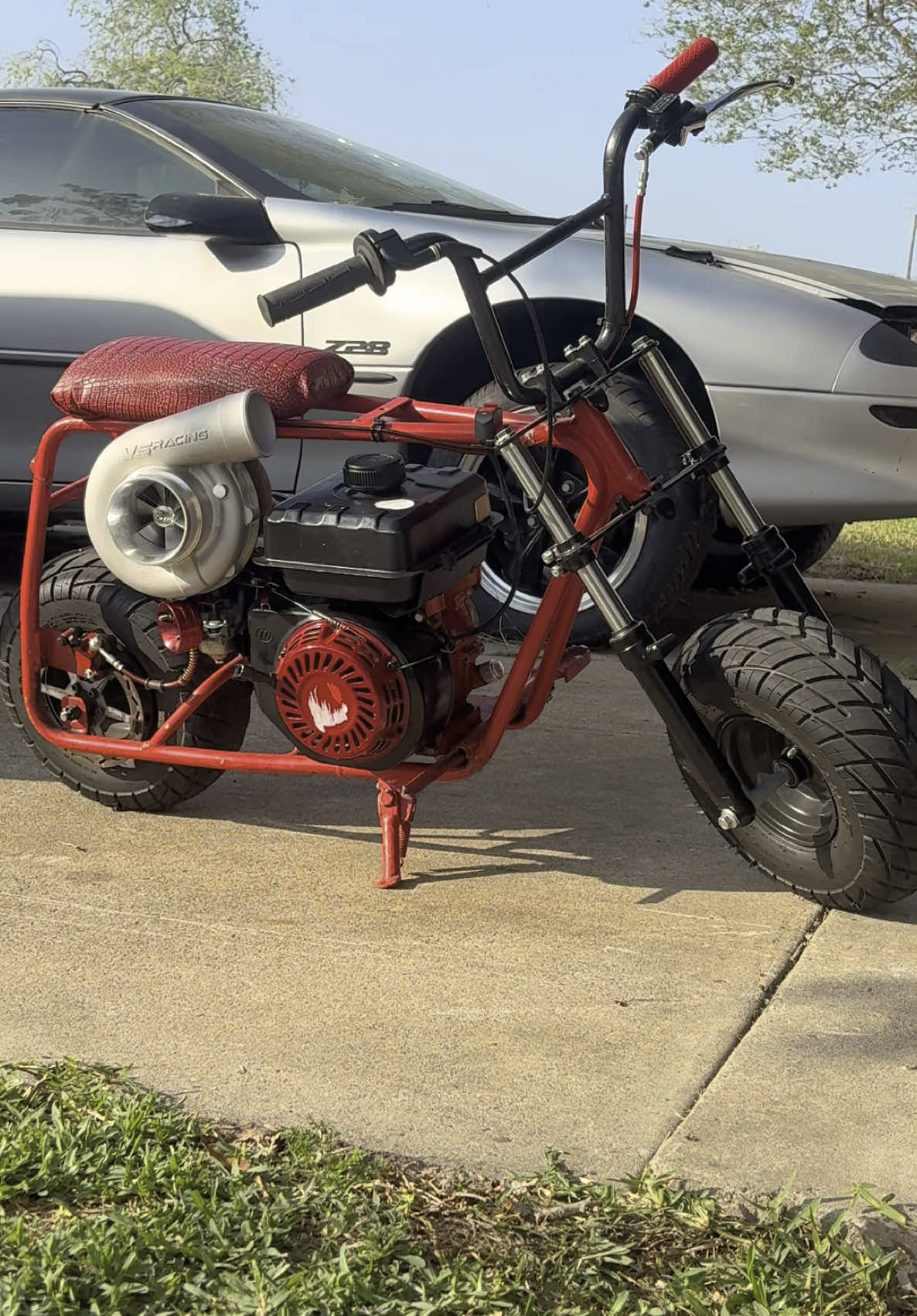✊🏻 #minibike #predator212 #doodblebug #vsracing #builtmotor 