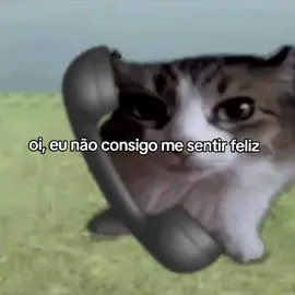 tem um gnomo aqui em casa