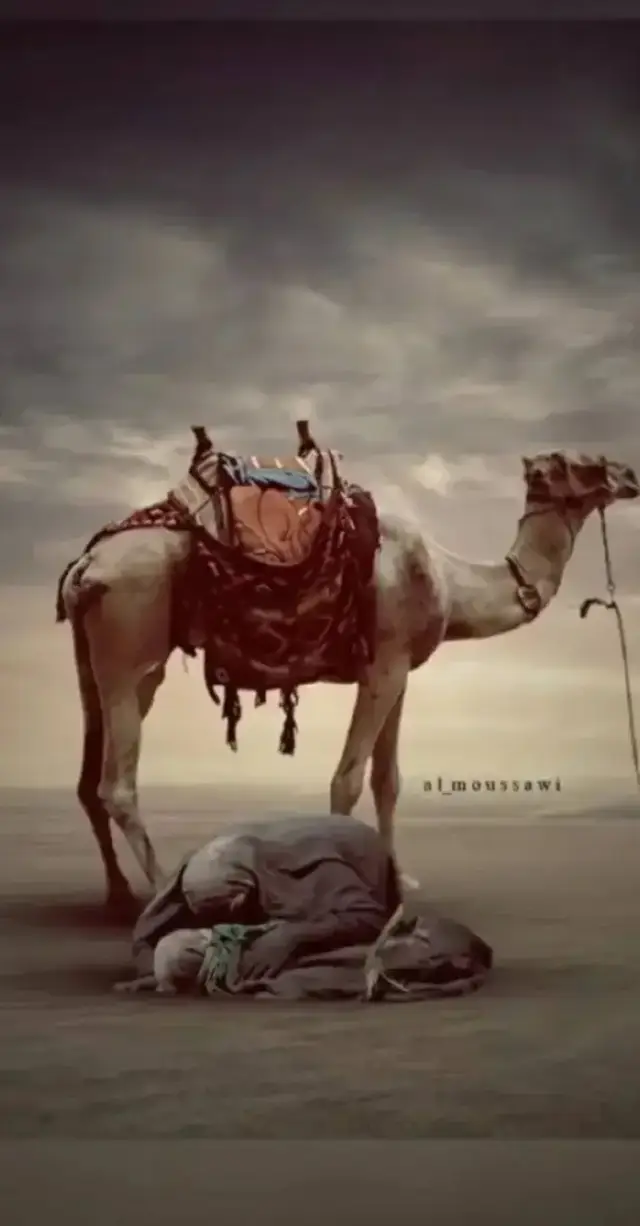 #نايم_يامسيت_الخيل_نايم_ياحسين💔😔  #ياحسين_ياعلي_يازينب 