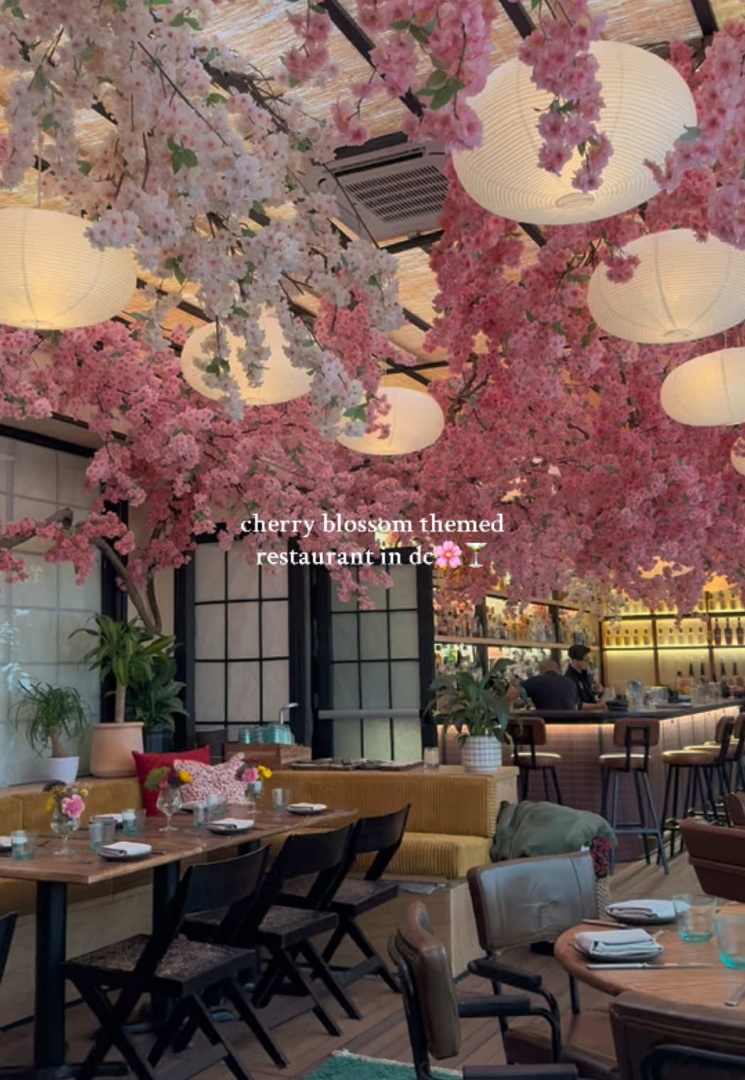 cherry blossom season at📍Mercy Me🌸 vibes, food, and drinks 11/10 #dmvfood #washingtondc #washingtondcfood #washingtondctiktok #dcfoodie #dcfood #novafoodie #washingtondclife 