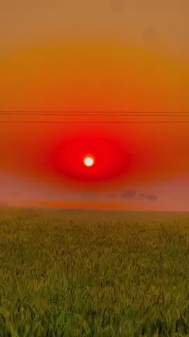 Village Morning 🌅 View#viralvideo #tarnding #villagelife 