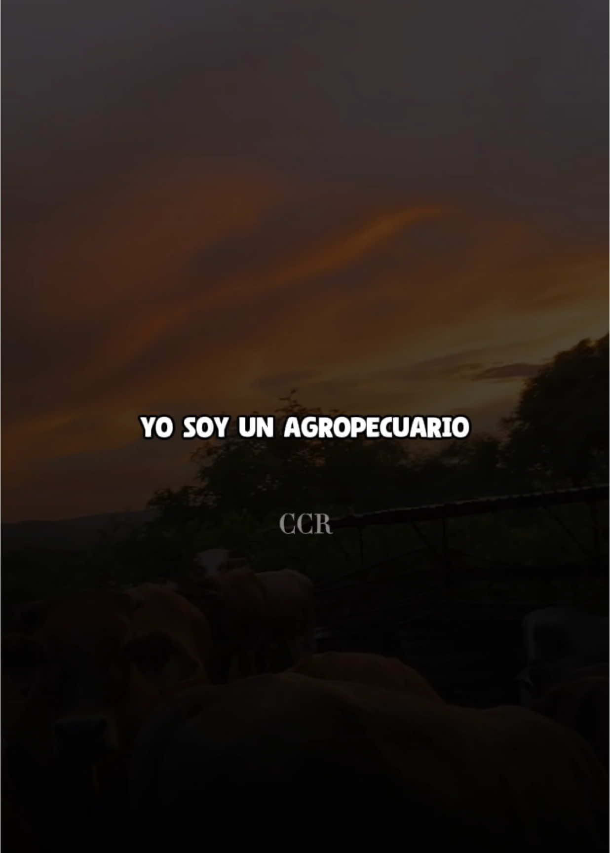 #Joaquinguiller #elagropecuario #musicaagropecuaria @Joaquín Guiller 