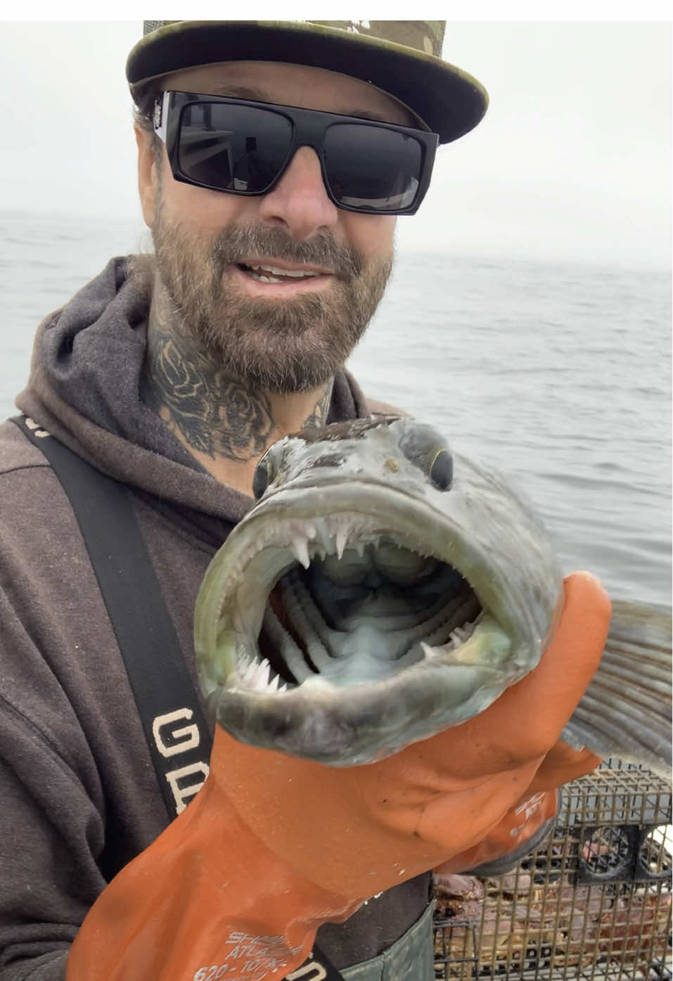 Friendliest Catch #fishing #friendliestcatch #commercialfishing 
