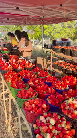 #ဒီတစ်ပုဒ်တော့fypပေါ်ရောက်ချင်တယ် 