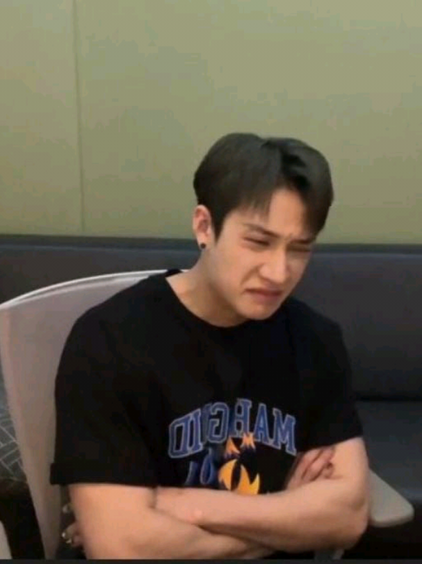 aí como ocê e chata vc é INSUPORTÁVEL 🙄🙄#bangchan #seungmin #skz #meme#tamaraepaulo #CapCut 
