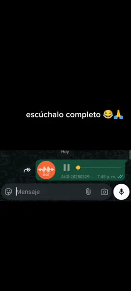 audios Randon de WhatsApp 😂