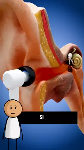 que pasa si te avientas la música a todo volumen 😮?#zackdfilms_en_español #zackdfilms #español #curiosidades #datoscuriosos #SabiasQue #facts #interestingfacts #usa_tiktok #viral #conocimiento #video 