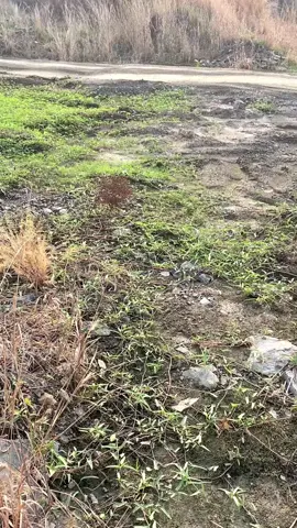 #ព្រះវិហារផ្ទះខ្ញុំ🏠❤🖤 #ស្រលាញ់ការរាប់អាន #ទេីបមោថ្មីសុំស្គាល់ផង 💞