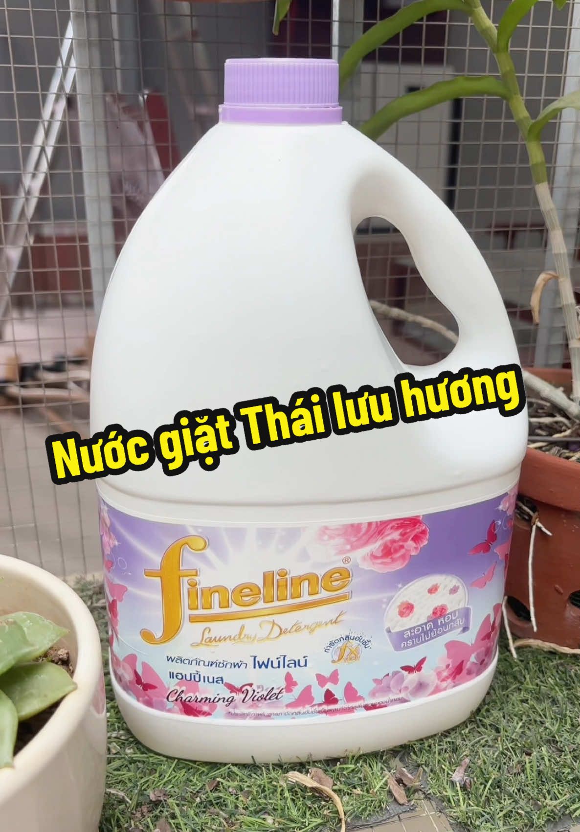 Mình vừa tìm được 1 em nước giặt Thái Lan siêu thơm mà giá lại rẻ nè😍😍 #nuocgiat #nuocgiatxa #nuocgiatthailan #fineline #huongnuochoa 