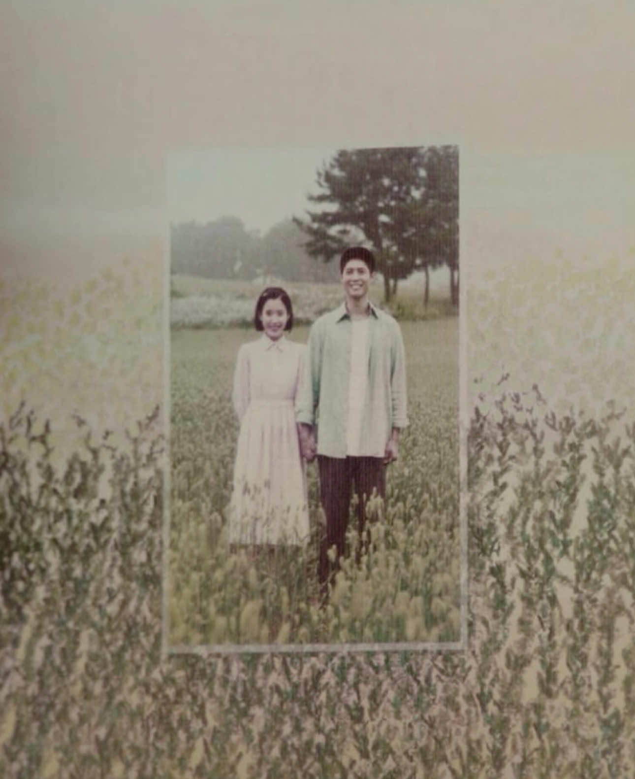 to the drama that comforted me, made me happy and spoke to me, thank you. i’m never getting over the feeling i felt throughout the entirety of this beautiful story ☹️ #whenlifegivesyoutangerines #iu #iuedit #kdrama #wlgyt #fyp #parkbogum #kimseonho #edit #foryou #drama #kdramafyp #kdramaedit #foryoupage #viral #netflix #iuedits #parkbogumedits #kimseonhoedits #fypシ 