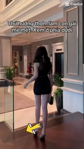 Nước hoa nam carlotta