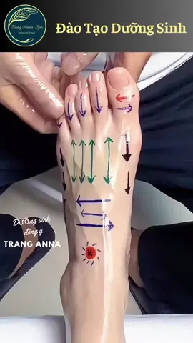 Nhìn thui thấy đã bàn chân rồi . Kỹ thuật Massage chân ưng ý #GộiDưỡngSinh #Massagemặtnângcơ #xuHướng #Cấpchứngchỉ #Tiktok #ĐàoTạohọcviênDưỡngSinhĐôngY #Trịliệu #xuHướng 