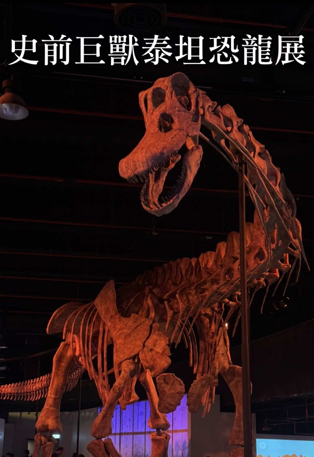 史前巨獸泰坦恐龍展