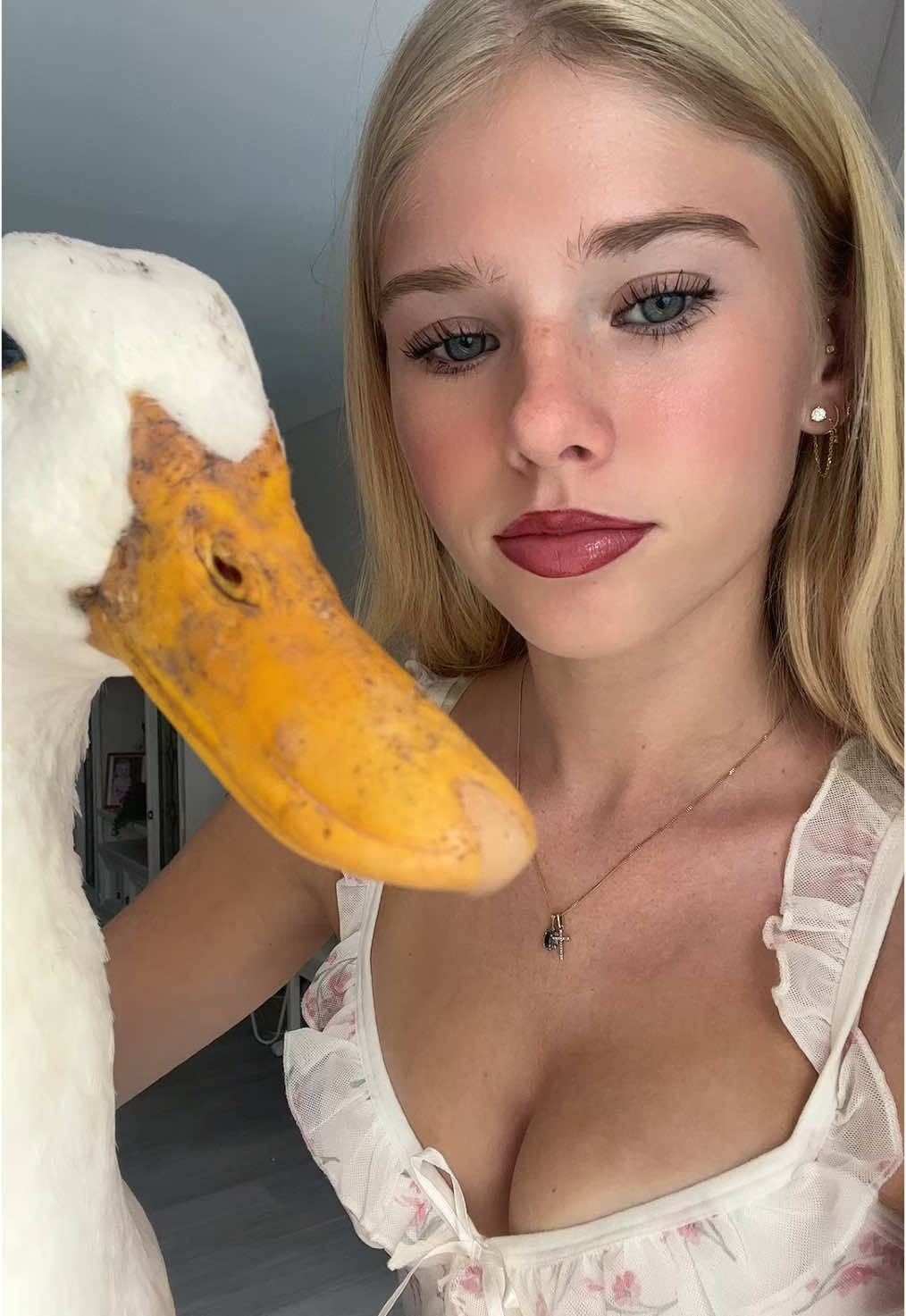 ducky #duck 