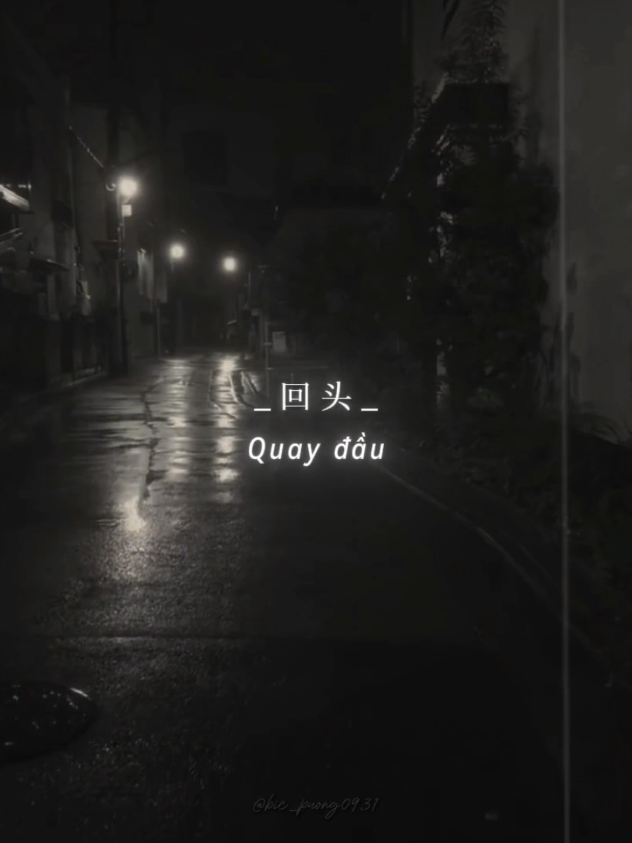 我肯定在几百年前 就说过爱你...#staypositive♫ #aettentertainment #bic_puong0931 #nhactrung 