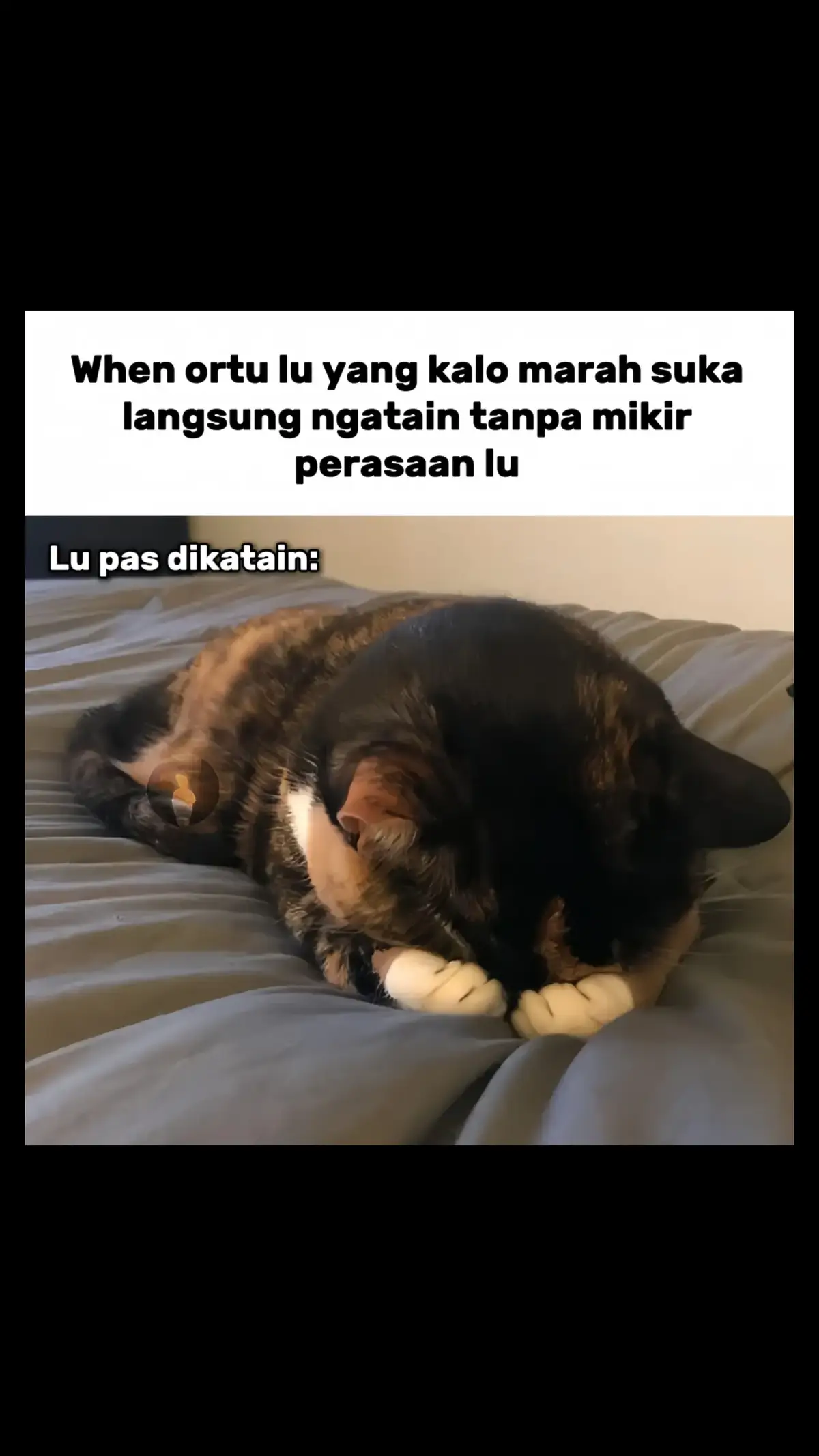 #relate #fypシ #zxycba #meme